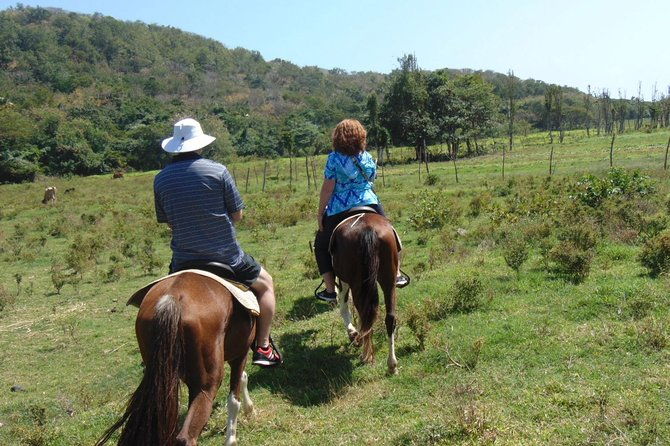 nature-historical-horseback-riding-tours-st-lucia