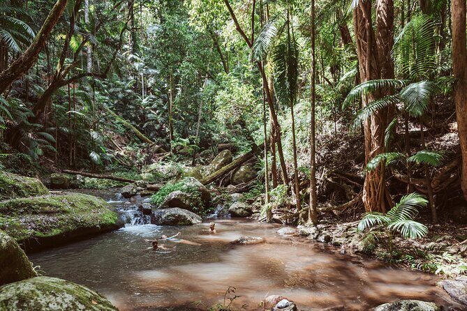 Nature Immersive Fully Catered Glamping Retreat - An In-Depth Look at the Nature Immersive Fully Catered Glamping Retreat
