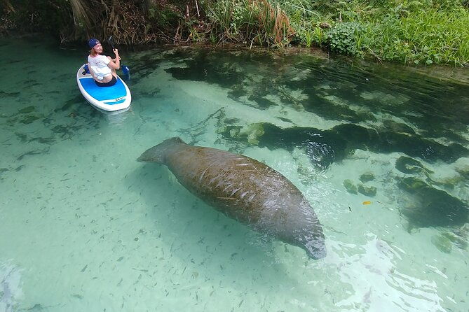 nature-island-exploration-on-sup-kayak
