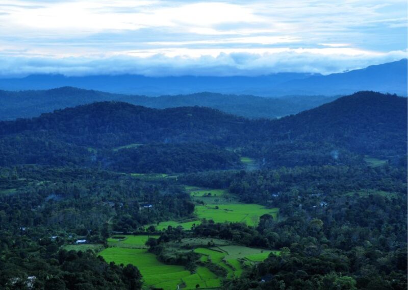 Nature & Spiritual Trails of Coorg (Guided Walking Tour) - Key Points