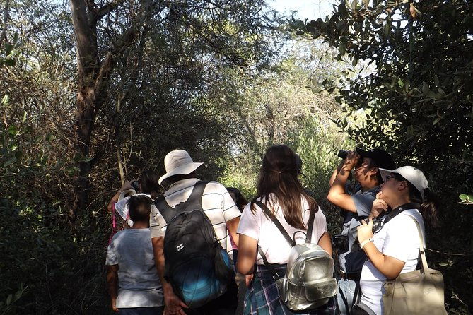 nature-tour-pomac-forest-with-picnic-breakfast-included