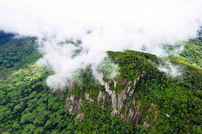 Nature trail - Morne Blanc (Mahe) - The Main Trail: Morne Blanc Summit  