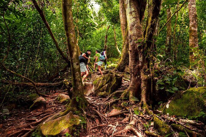Nature trail - Morne Blanc (Mahe) - The Practicalities: What You Need to Know  