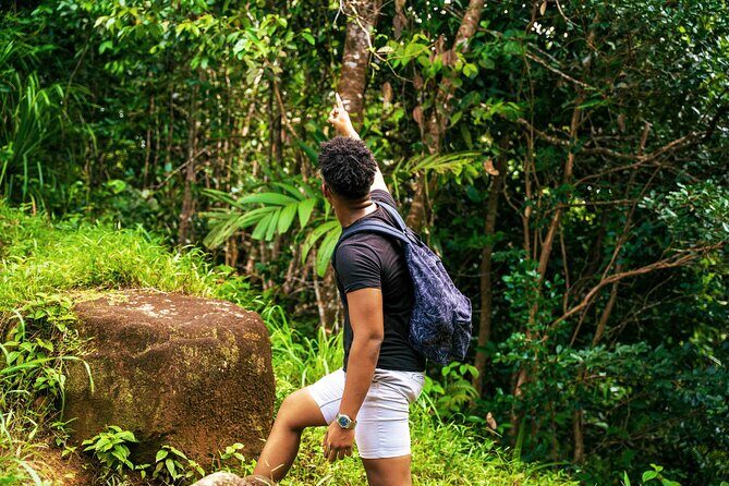 Nature trail - Morne Blanc (Mahe) - The Sum Up  