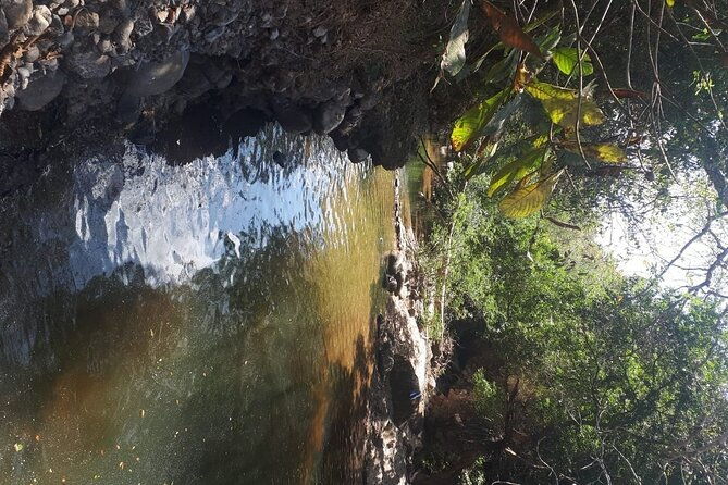 nature-trail-river-in-a-wellness-farm-santa-clara-beach