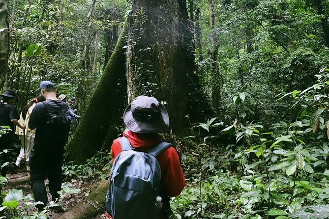 Nature Trails & Guided Adventures in Cuc Phuong National Park - Transport & Group Size
