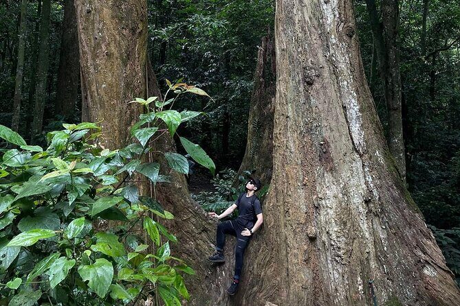 Nature Trails & Guided Adventures in Cuc Phuong National Park - FAQ