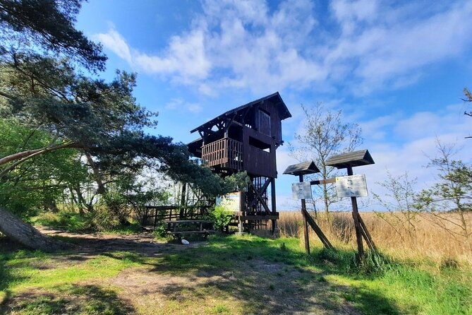 nature-walk-and-wildlife-tour-in-sobieszewo-island