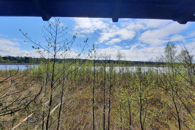 nature-walk-and-wildlife-tour-in-sobieszewo-island