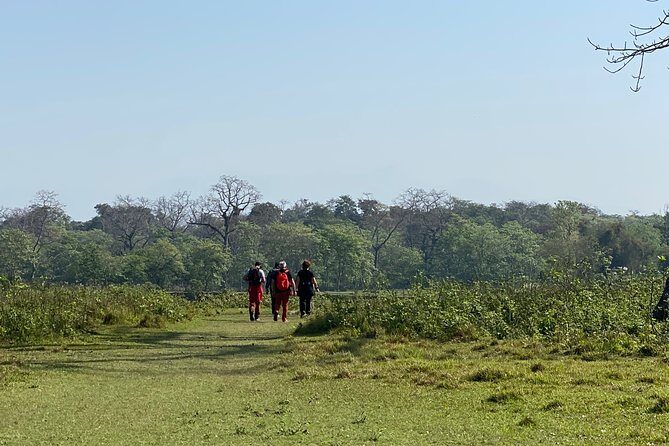 Nature Walk in Chitwan Jungle Safari with Guide - FAQ