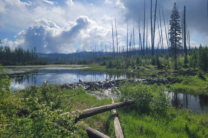nature-walk-in-glacier-national-park