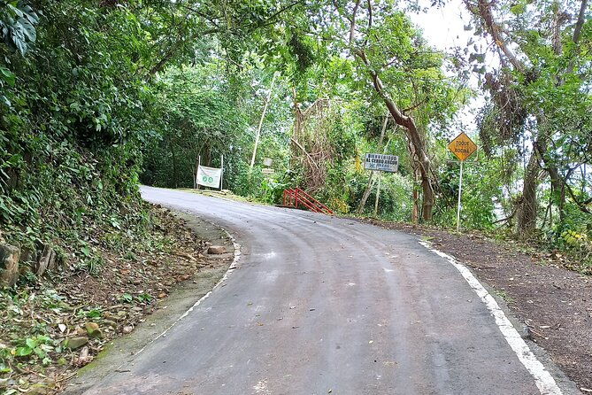 nature-walk-on-ancon-hill