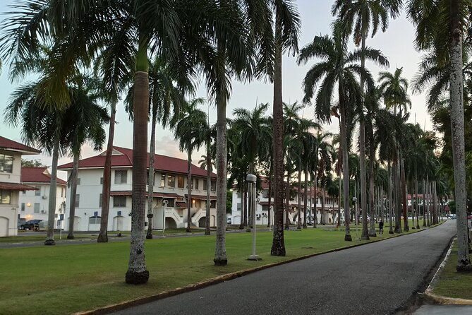 nature-walk-on-ancon-hill