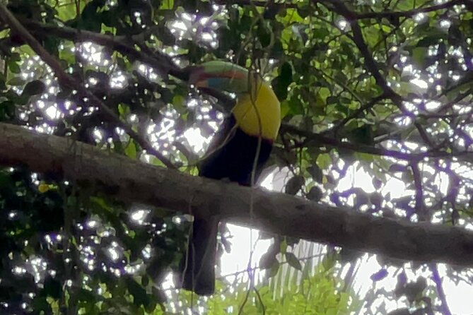 nature-walk-on-ancon-hill