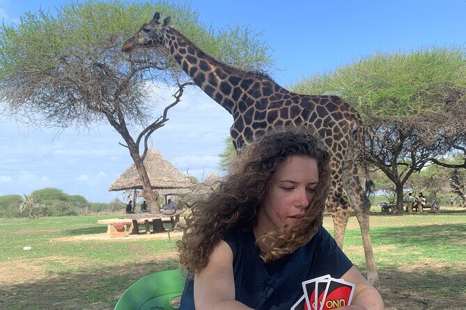 Nature Walk with Giraffes in Mombasa - Introduction: A Unique Encounter with Giraffes in Mombasa