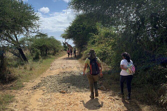 Nature Walk with Giraffes in Mombasa - Exploring the Sanctuary: What You Can Expect