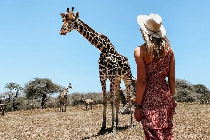 Nature Walk with Giraffes in Mombasa - Why This Experience Stands Out