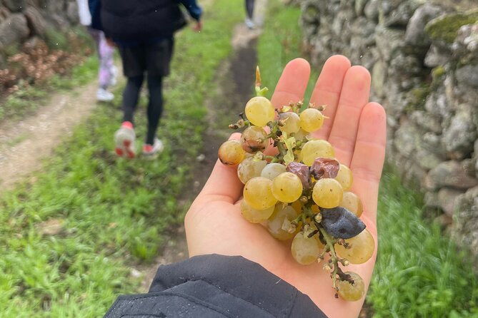 nature-walks-in-marvao