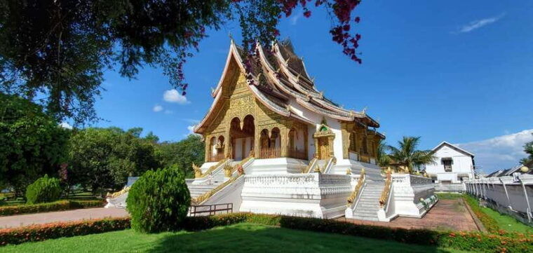 nature-wellness-retreat