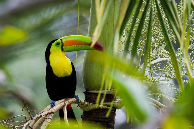 nature-wildlife-safari-float-tour-from-la-fortuna-arenal