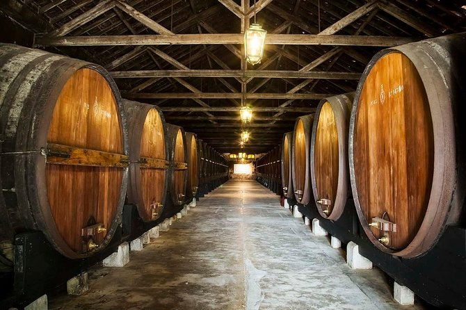 nature-wines-and-ceramic-tiles-private-tour