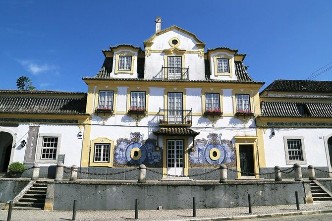 nature-wines-and-ceramic-tiles-private-tour