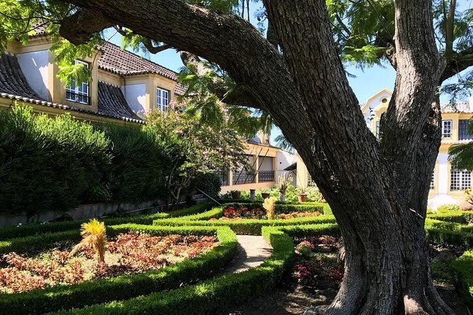 nature-wines-and-ceramic-tiles-private-tour