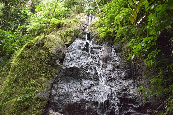 natureworld-st-lucia-hiking-trail