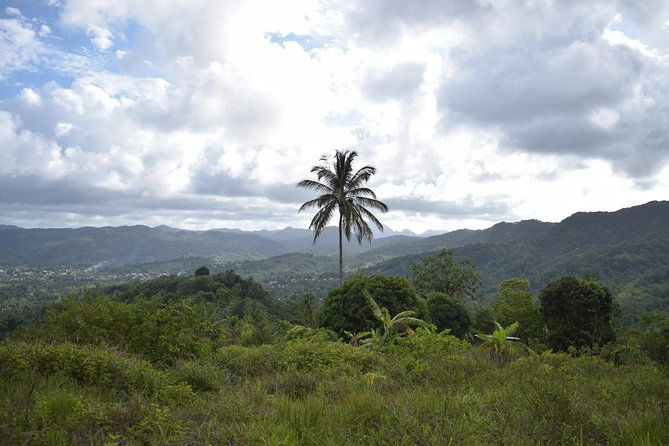 natureworld-st-lucia-hiking-trail