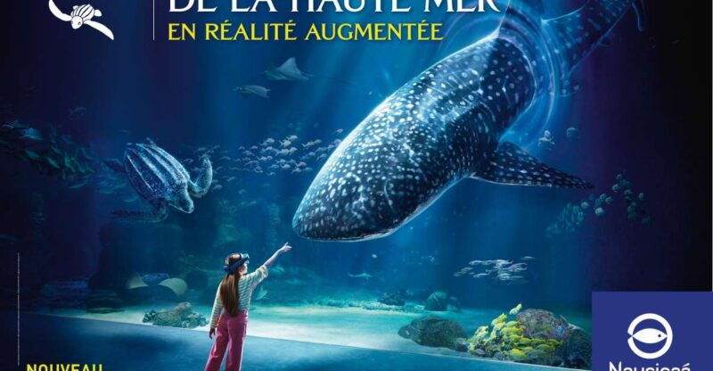 nausicaa-national-sea-center-full-day-entry-ticket