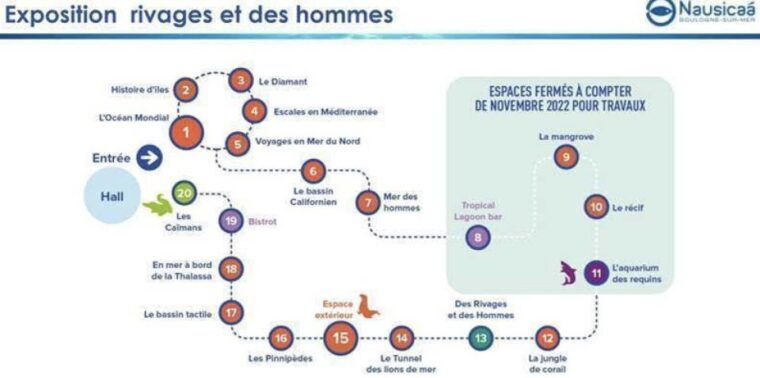 nausicaa-national-sea-center-full-day-entry-ticket