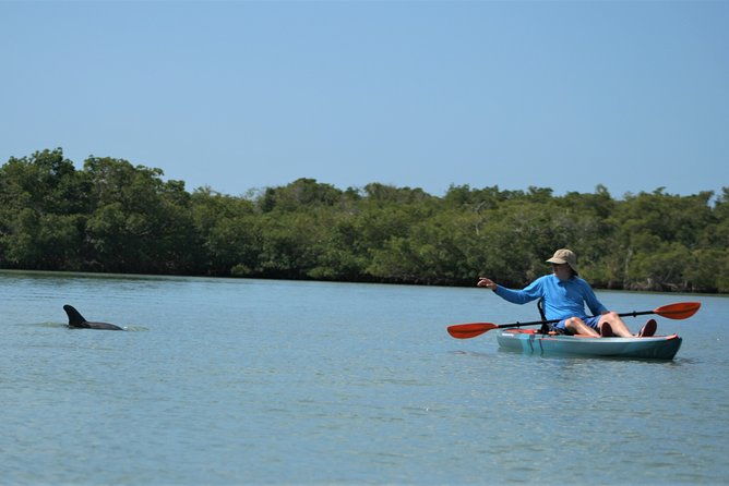 nauti-exposures-kayak-rental-naples-fl
