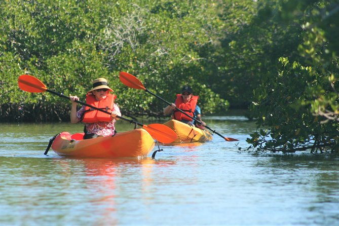 nauti-exposures-kayak-rental-naples-fl
