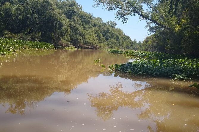 nautical-safari-in-tigre