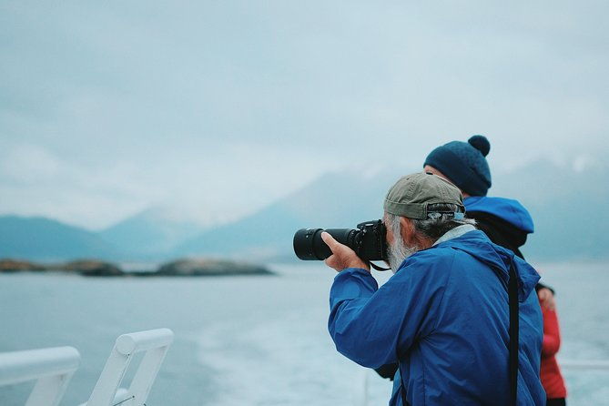 navigation-beagle-postcards