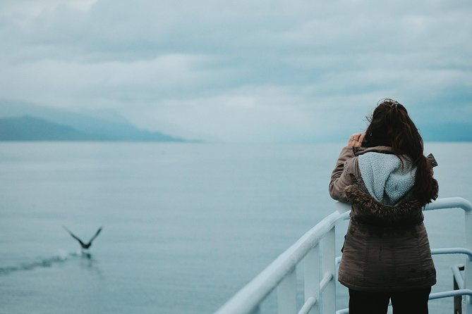 navigation-beagle-postcards