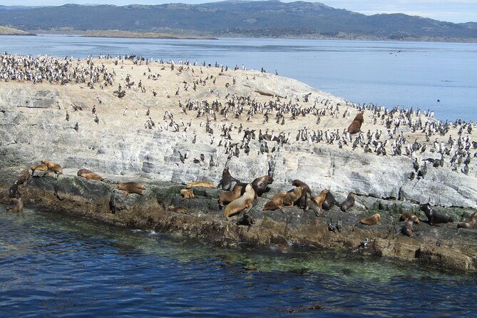navigation-in-the-beagle-channel-with-minitrekking-ushuaia