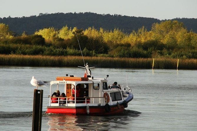navigation-through-the-isla-teja-in-valdivia