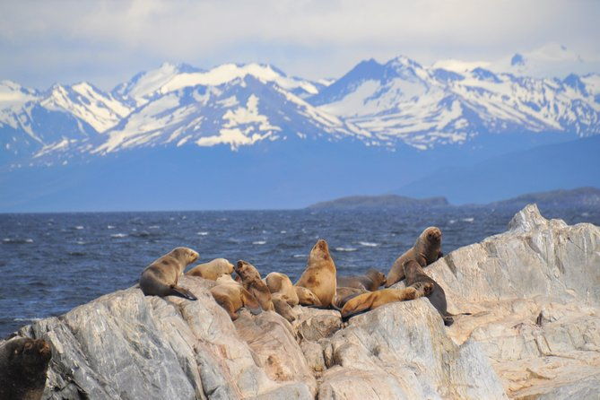 navigation-to-the-penguins-island-ushuaia-beagle-channel