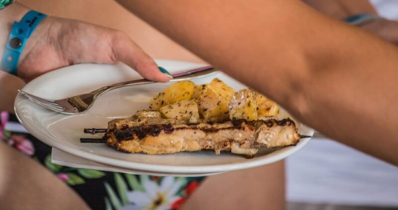 navigator-south-naxos-ano-koufonisi-with-bbq-incl