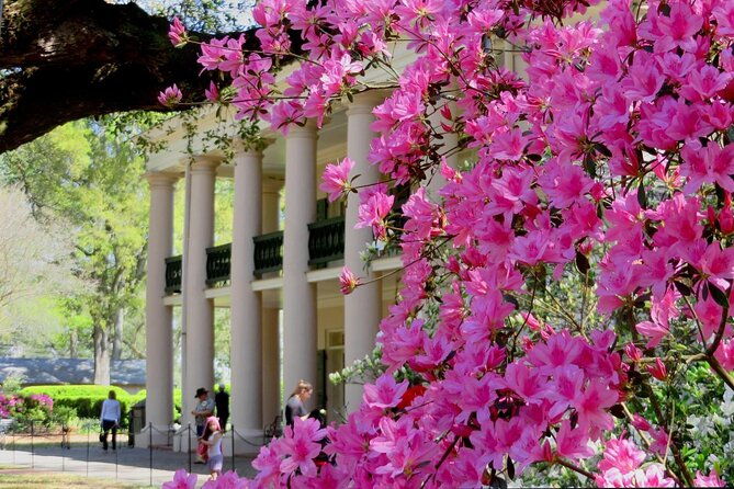 nawlins-luxury-double-plantation-whitney-oak-alley-with-transportation