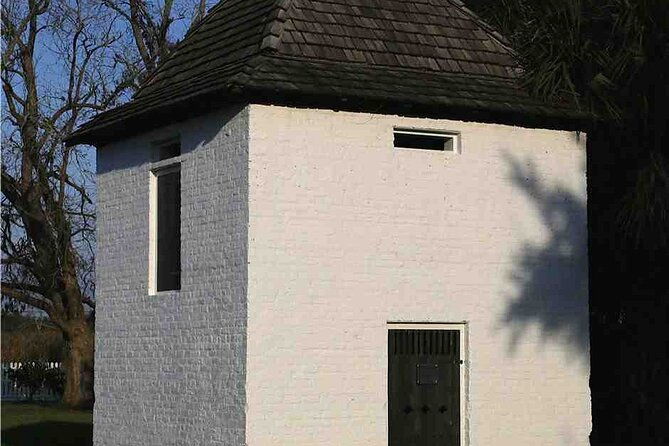 nawlins-luxury-double-plantation-whitney-oak-alley-with-transportation