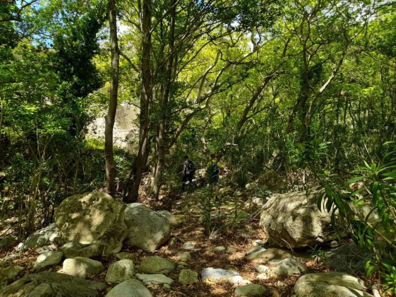 naxos-a-riverbank-adventure-kinidaros-eggares-villages