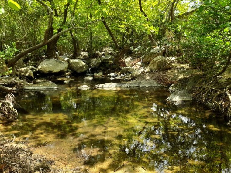 naxos-a-riverbank-adventure-kinidaros-eggares-villages