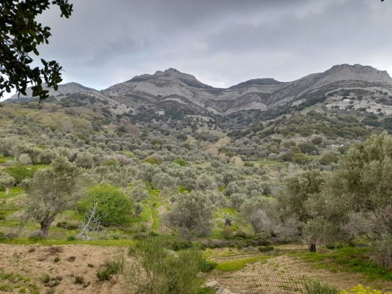 naxos-countryside-hike-among-villages-byzantine-churches