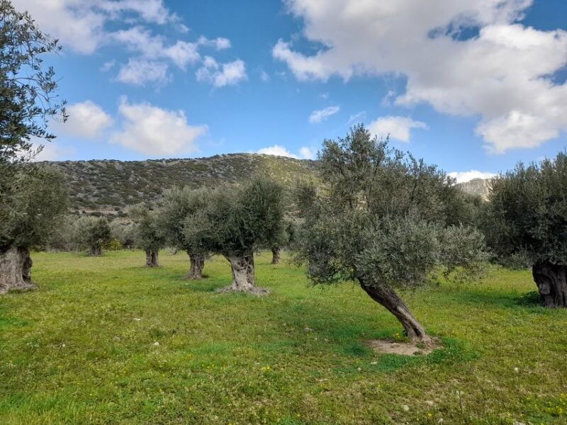 naxos-countryside-hike-among-villages-byzantine-churches