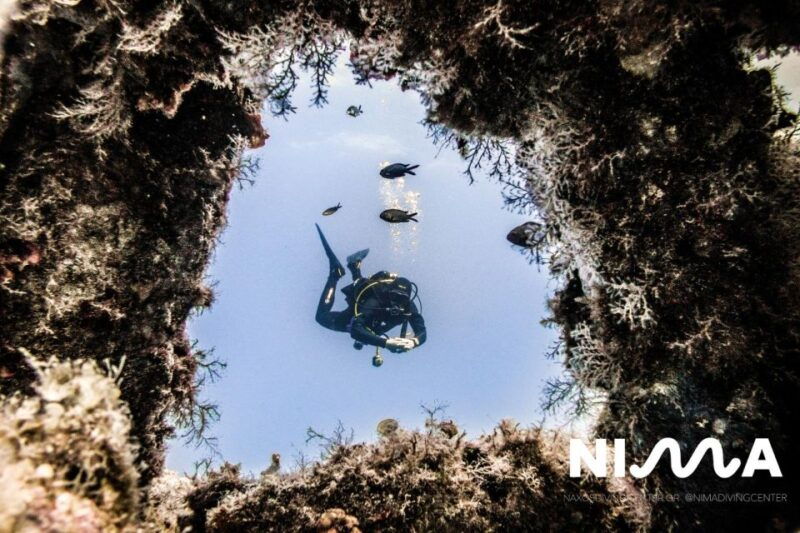 naxos-discover-scuba-dive-with-nima-dive-center