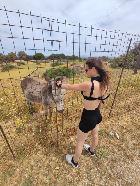 Naxos: Explore the cave of the unspoiled south-east coast! - Who This Tour Is Best Suited For