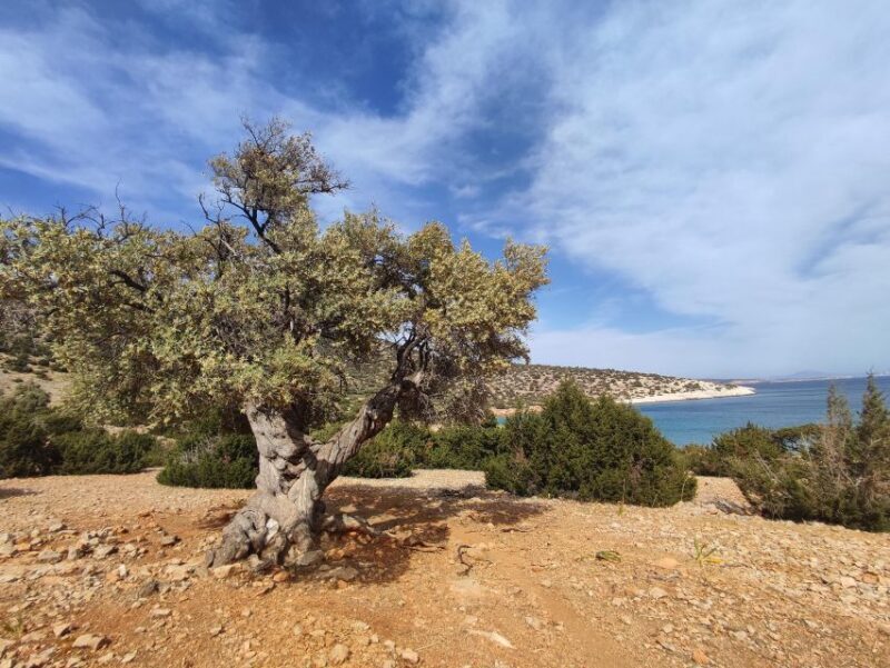Naxos: Explore the cave of the unspoiled south-east coast! - The Sum Up