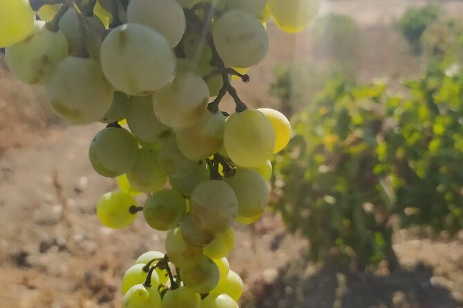 naxos-farm-experience